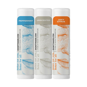 All Natural Vegan Lip Balms - Dignity Made