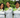 5 Social Impact Businesses Empowering Women - Dignity Made