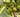 6 Fun Facts You Didn’t Know About Coconuts - Dignity Made