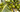 6 Fun Facts You Didn’t Know About Coconuts