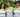 5 Social Impact Businesses Empowering Women
