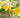 Nature's Gatorade: How To Make Your Own Electrolyte Drink