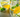 Nature's Gatorade: How To Make Your Own Electrolyte Drink - Dignity Made